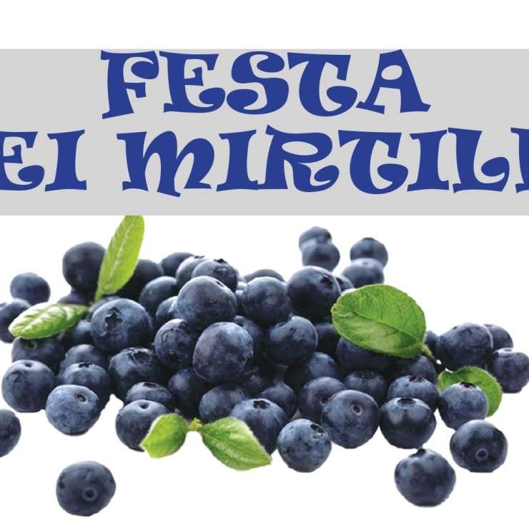 Festa dei mirtilli